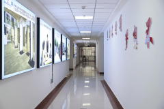 大师通过平台采办产物后对本产物的反应才是环