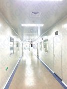 顶视觉上清洁整洁